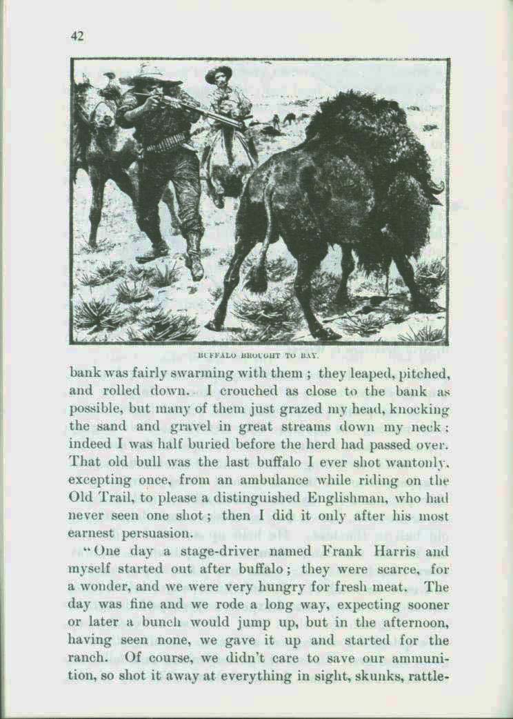 The Buffalo--1898. vist0028k